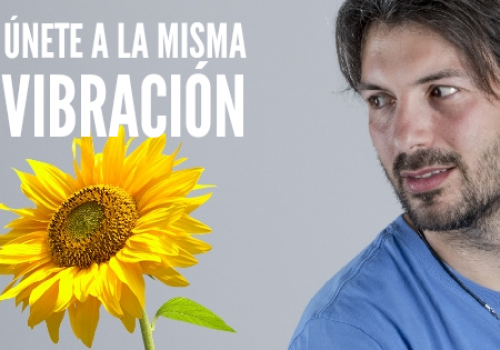 UNA LECCIÓN DE LOS GIRASOLES QUE TE CAMBIARÁ LA VIDA