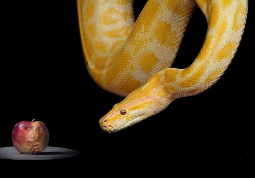 LA SERPIENTE QUE INCITÓ A EVA (¿Qué significa COMER DEL FRUTO PROHIBIDO?)